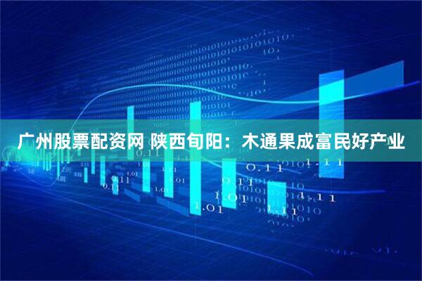 广州股票配资网 陕西旬阳：木通果成富民好产业