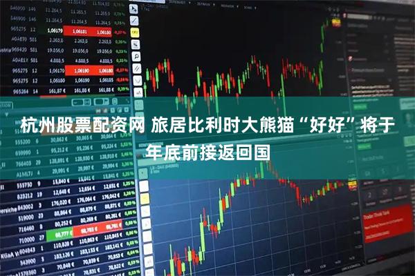 杭州股票配资网 旅居比利时大熊猫“好好”将于年底前接返回国