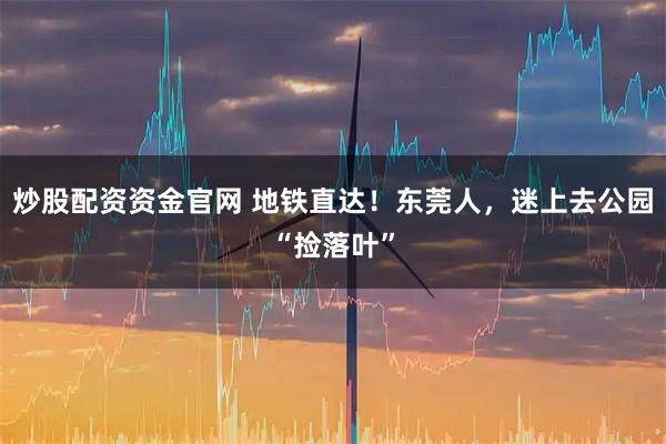 炒股配资资金官网 地铁直达！东莞人，迷上去公园“捡落叶”