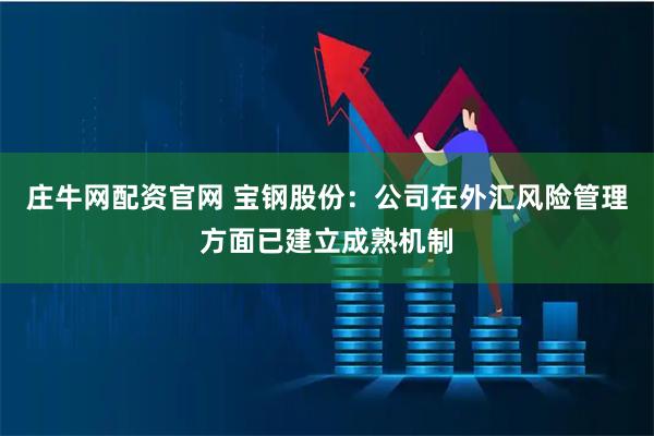 庄牛网配资官网 宝钢股份：公司在外汇风险管理方面已建立成熟机制