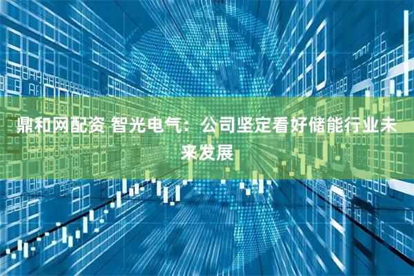 鼎和网配资 智光电气：公司坚定看好储能行业未来发展