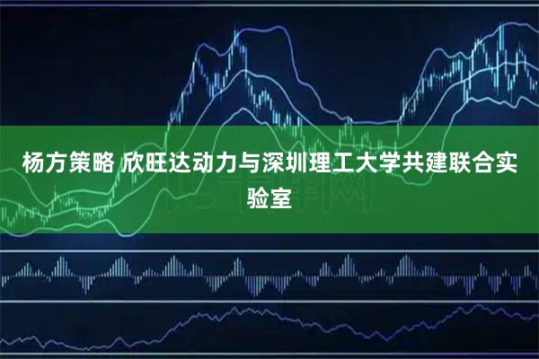 杨方策略 欣旺达动力与深圳理工大学共建联合实验室