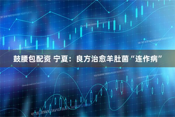 鼓腰包配资 宁夏：良方治愈羊肚菌“连作病”